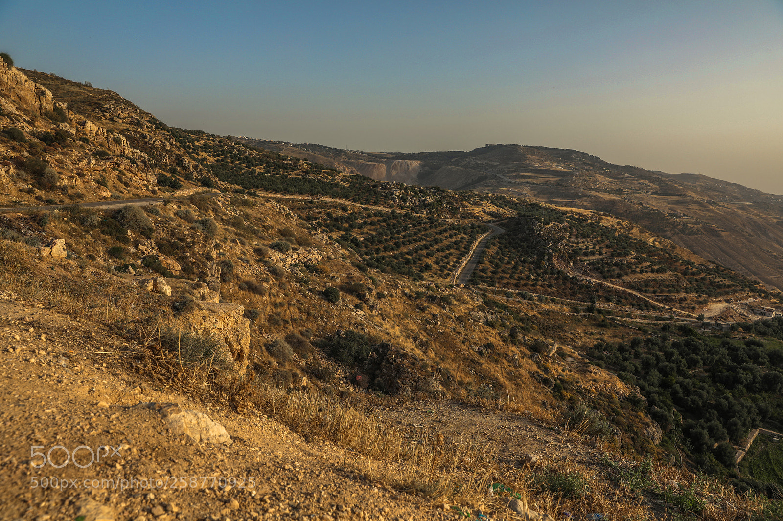 Canon EOS 5D Mark IV sample photo. Untitled photography