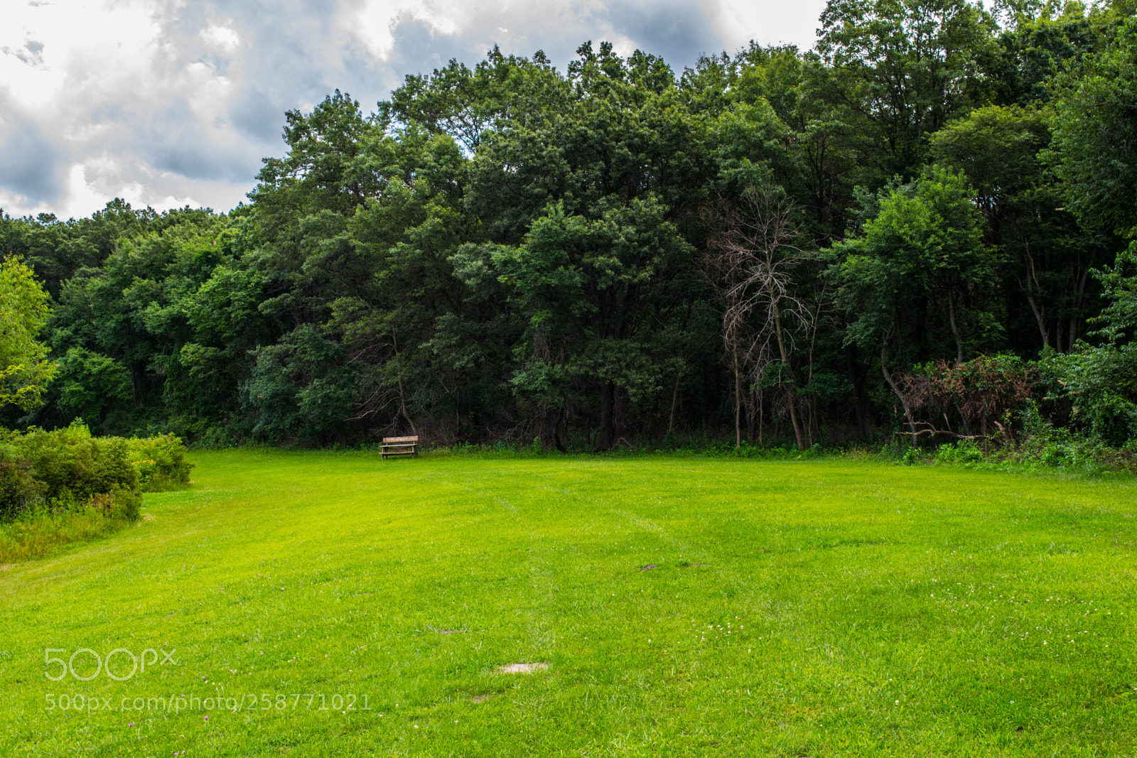 Nikon D3300 sample photo. Lonely bench photography
