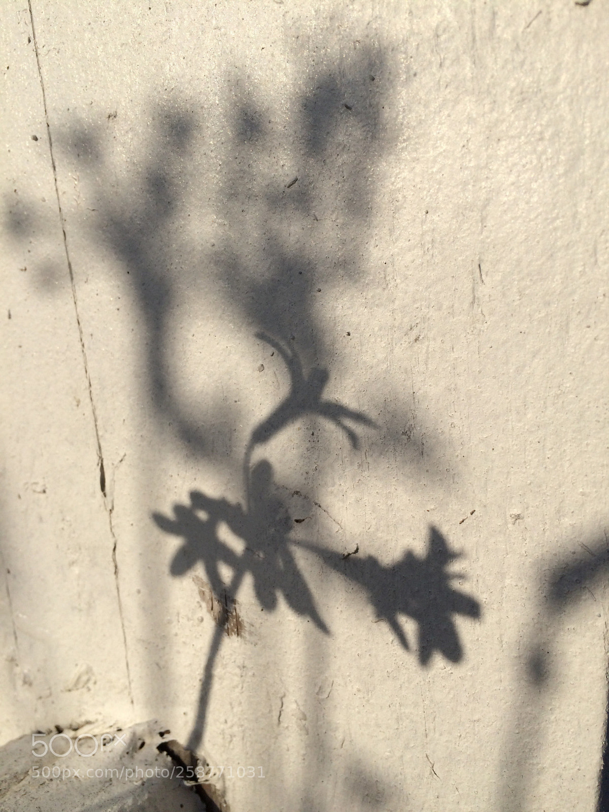 Apple iPhone 5s sample photo. 93,000,000 miles..... minus a photography