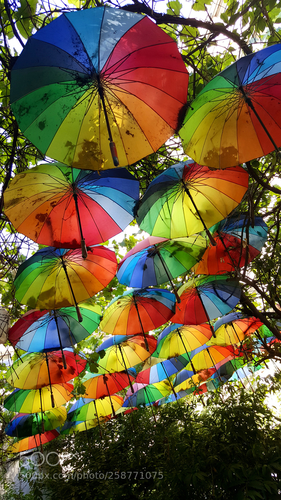 Samsung Galaxy Note5 sample photo. Umbrellas in city photography