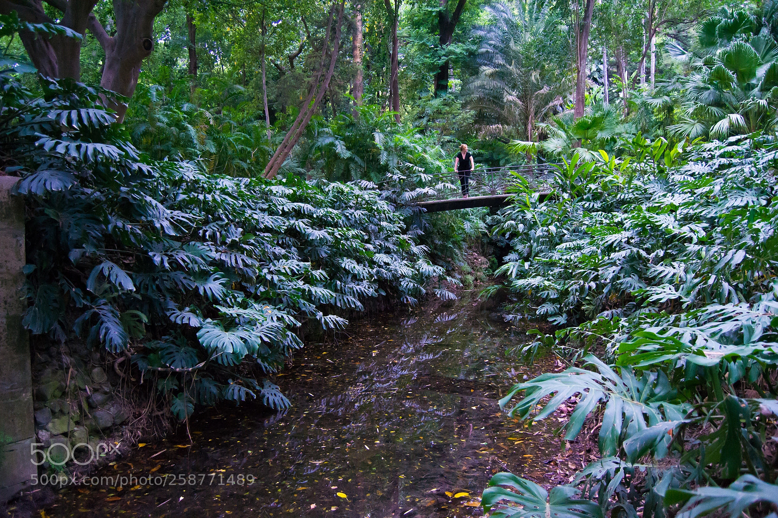 Nikon D3100 sample photo. Paseando por el jard photography