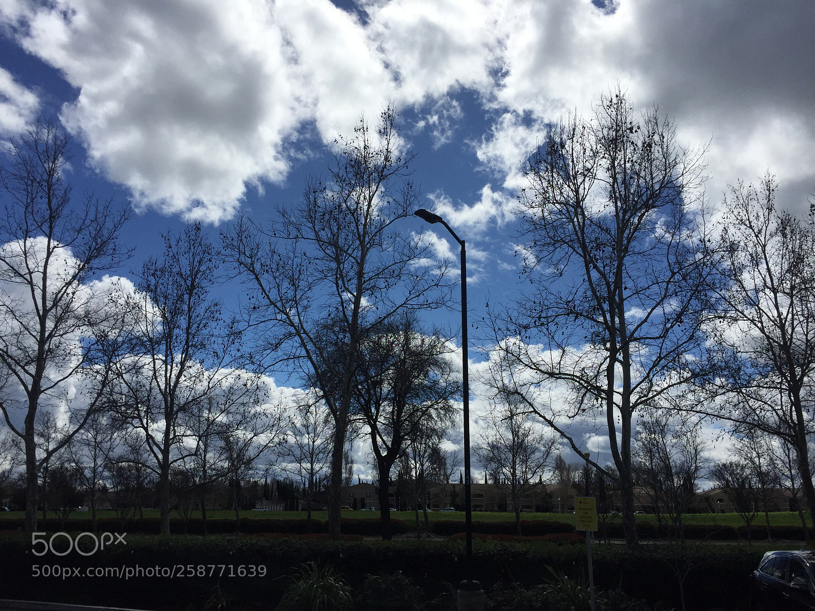 Apple iPhone 6 sample photo. Clear sky photography