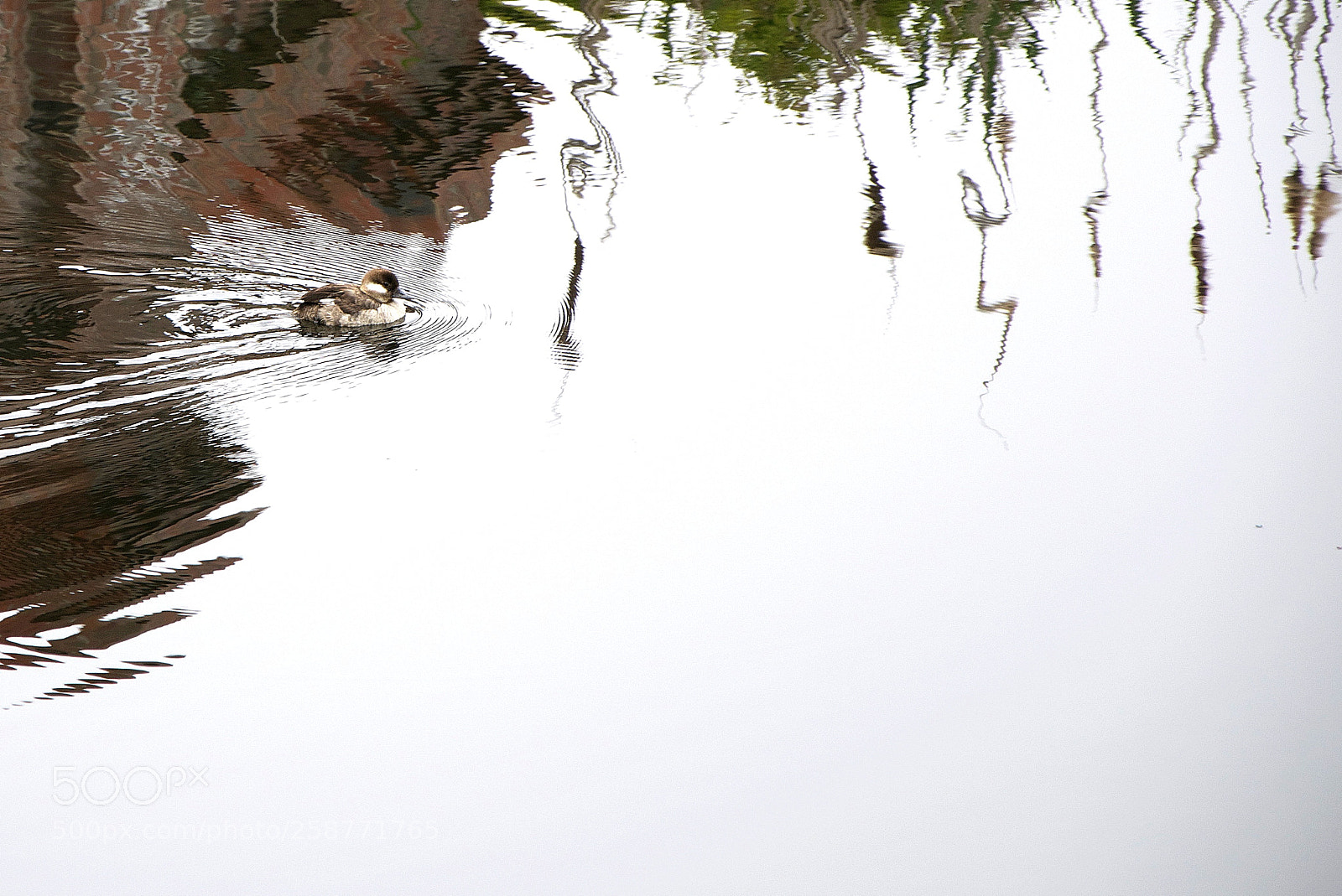 Nikon D90 sample photo. Across the water photography