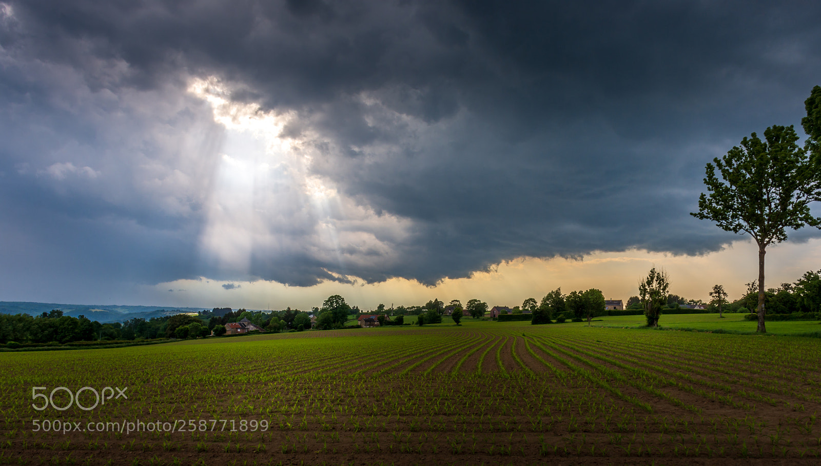 Nikon D7200 sample photo. Thru the clouds photography