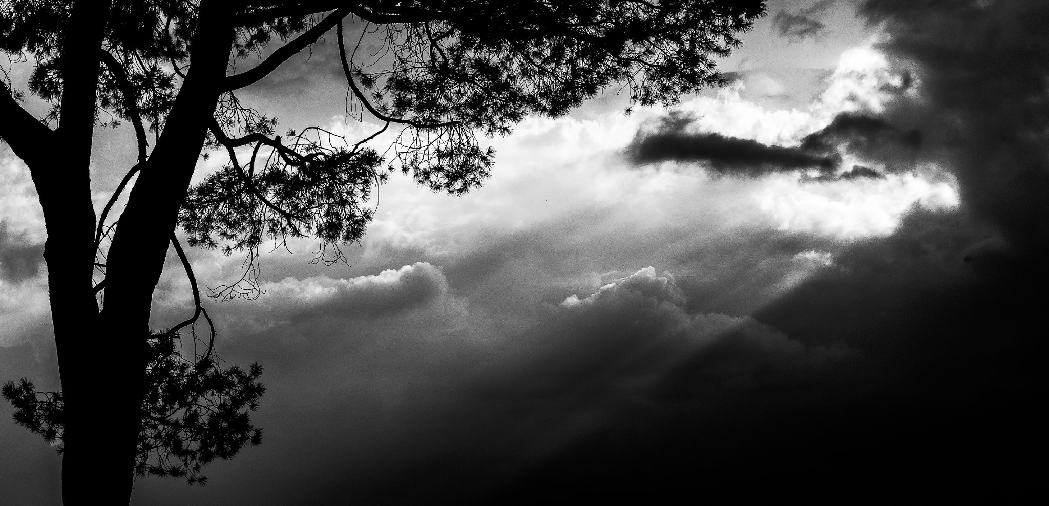 Nikon 1 J5 sample photo. ***** photography