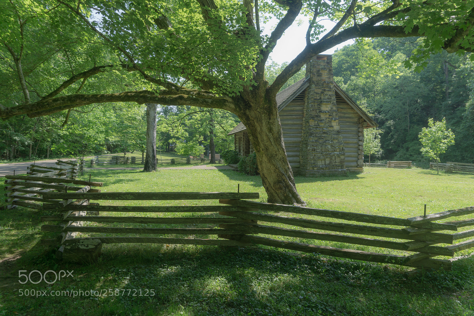 Sony a6000 sample photo. Dsc photography