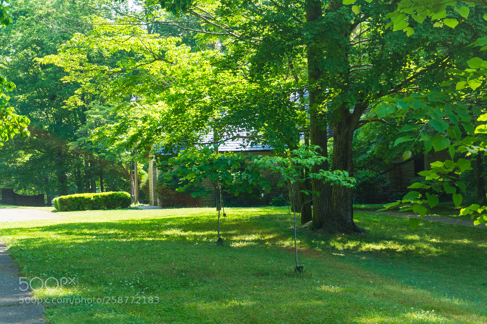 Sony a6000 sample photo. Dsc photography