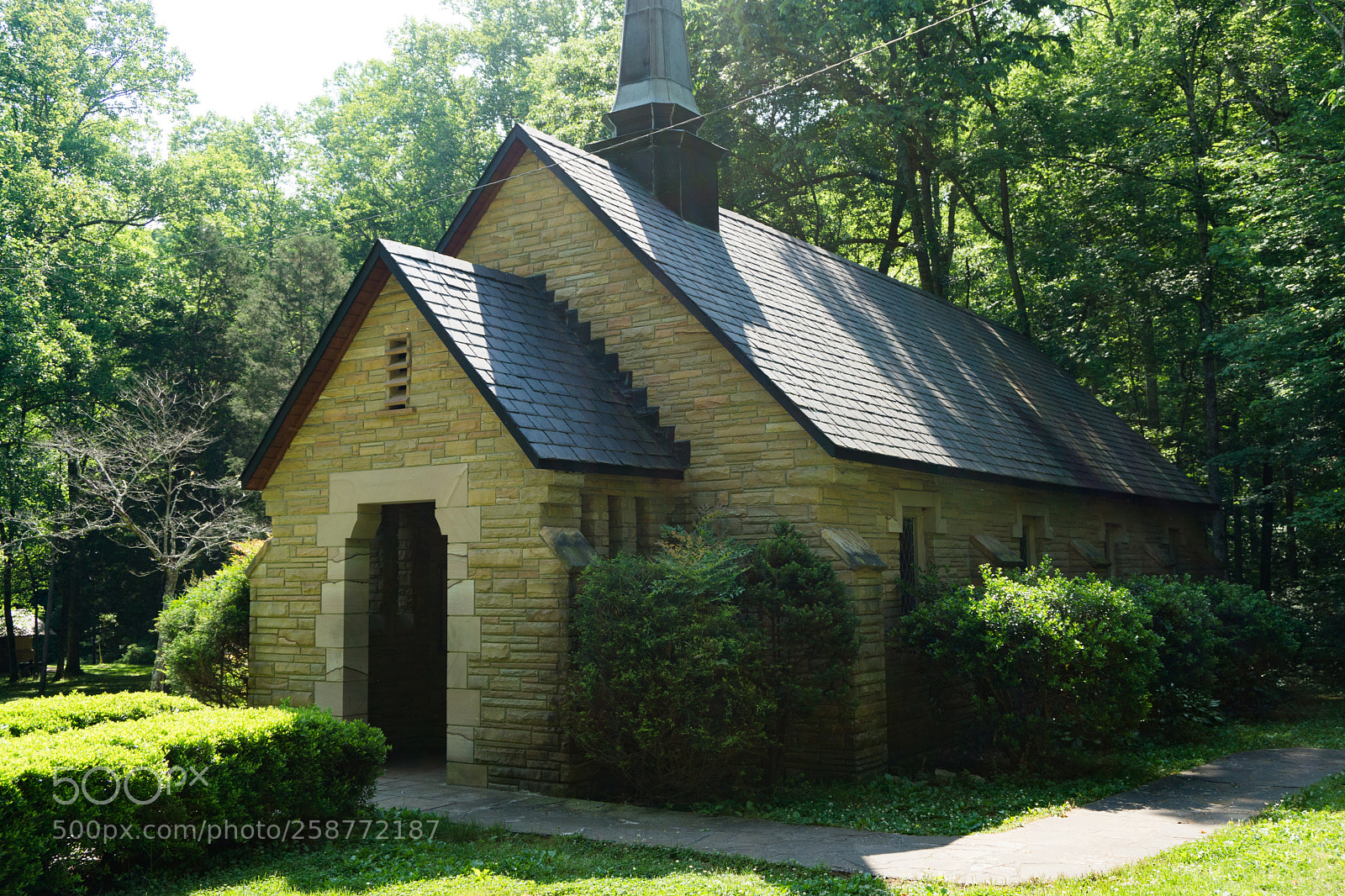 Sony a6000 sample photo. Dsc photography