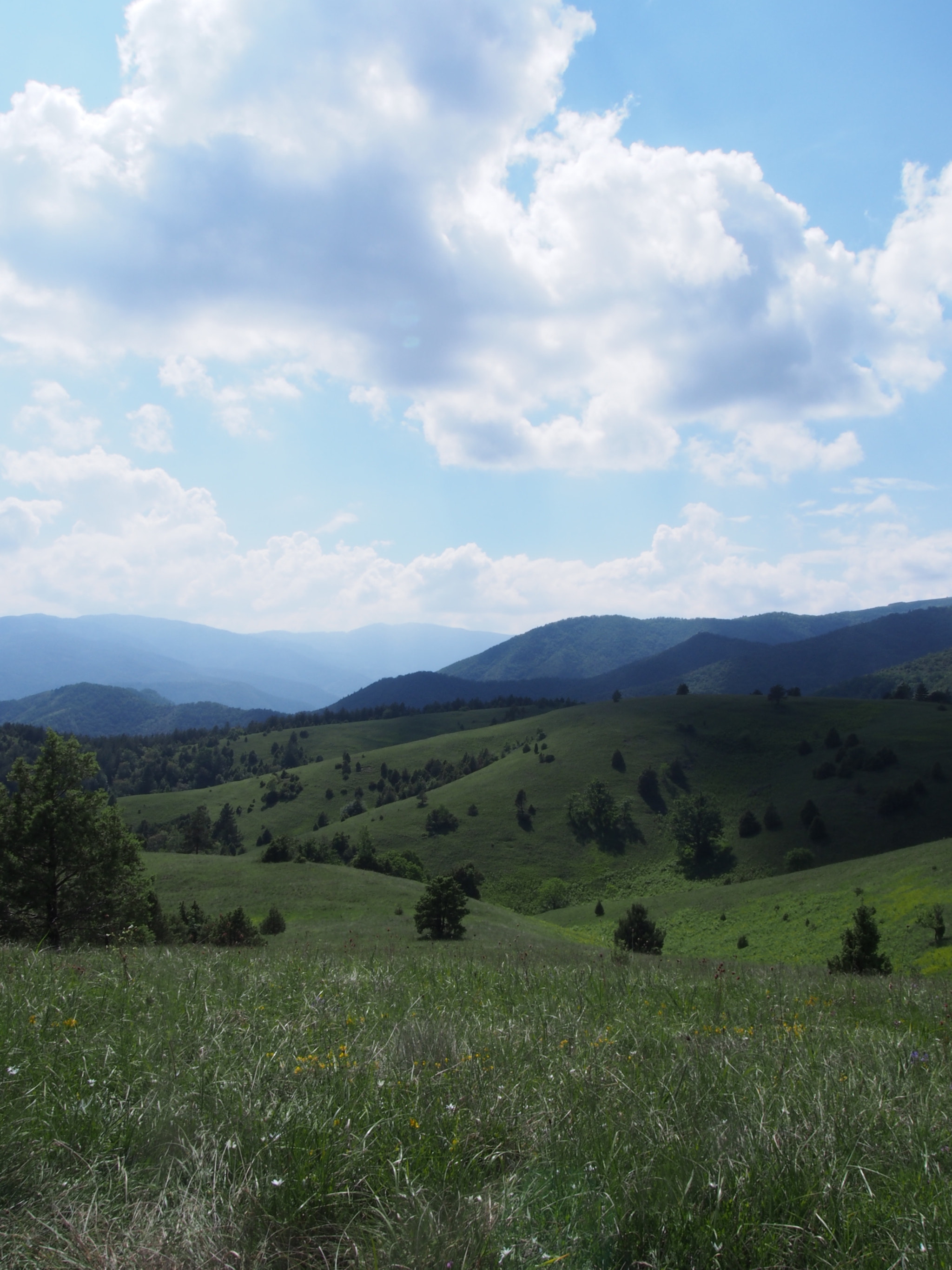 Olympus PEN E-PL5 sample photo. Just another landscape photography