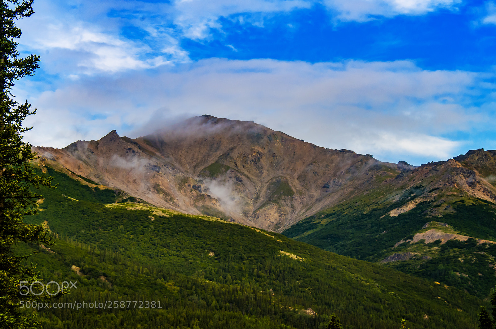 Nikon D300 sample photo. Inside denali photography
