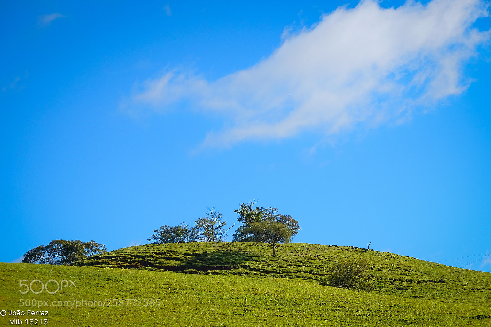 Fujifilm X-T10 sample photo. Blue... photography