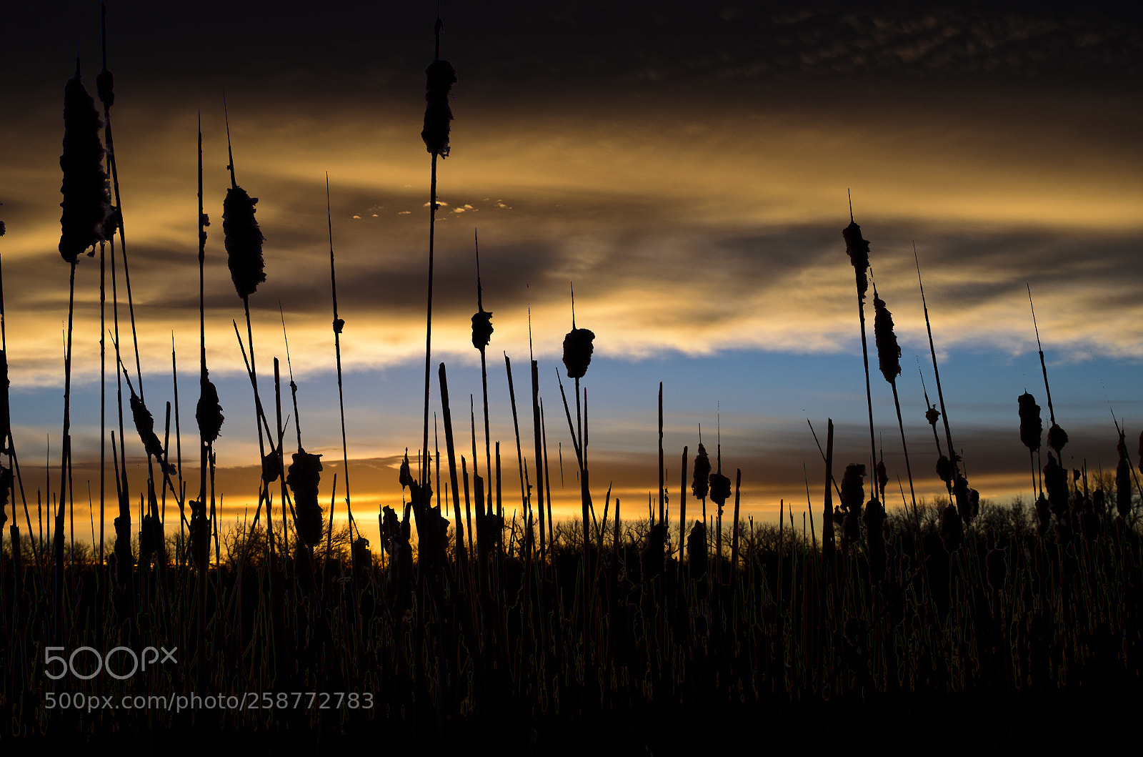 Nikon D5100 sample photo. Sunset photography