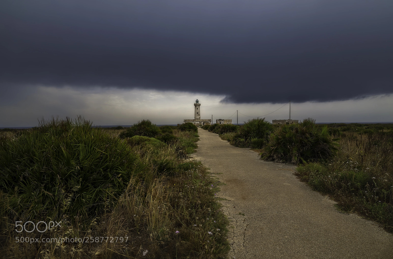 Canon EOS 5D Mark IV sample photo. Storm. photography