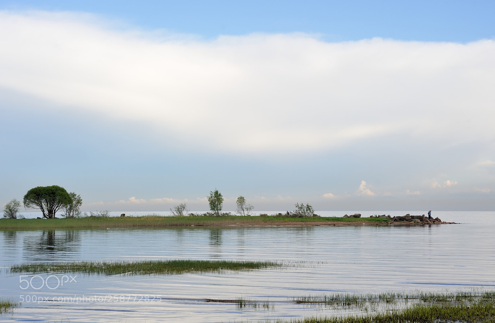 Nikon D700 sample photo. на Финском заливе... #3 photography