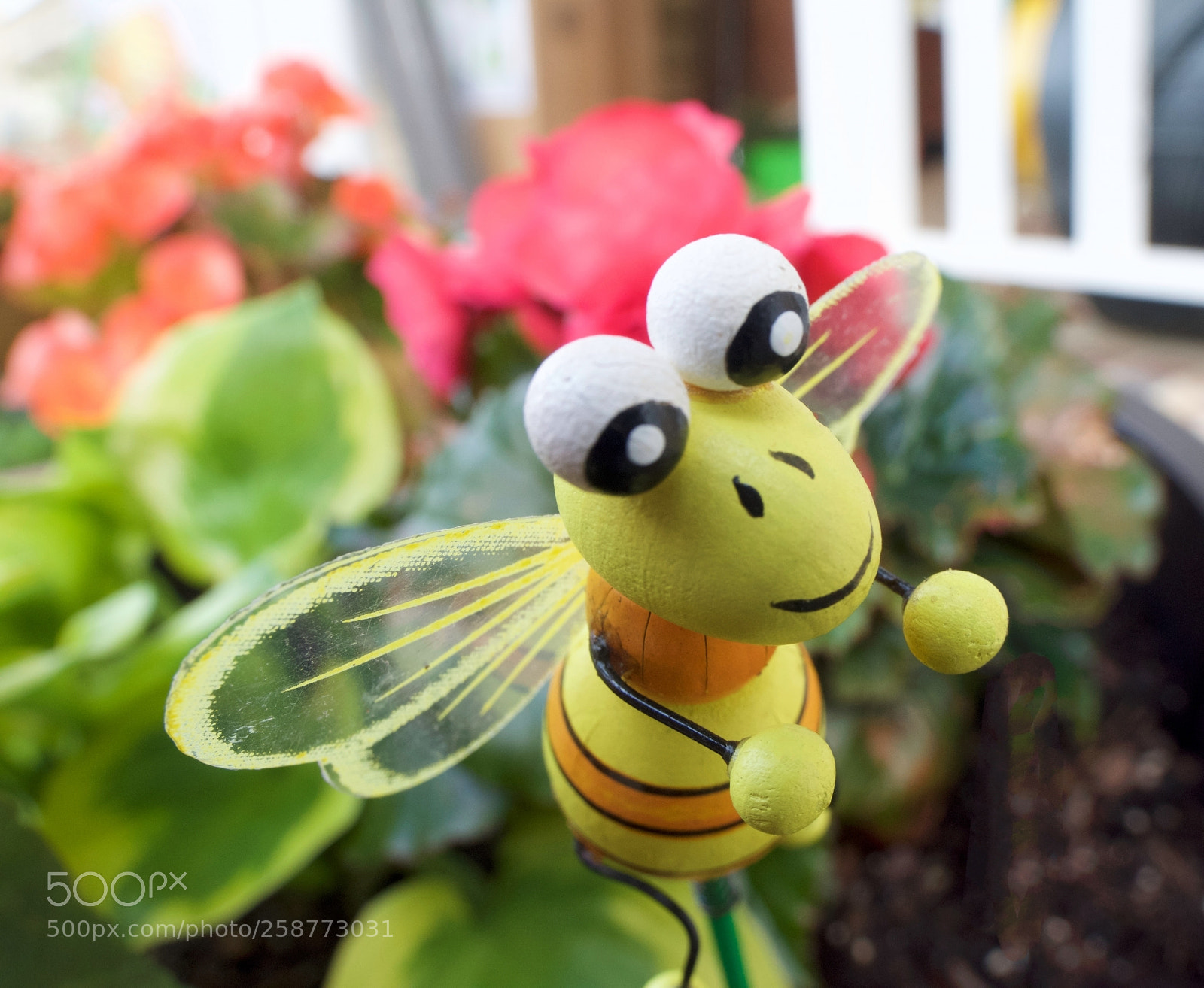 Nikon D7200 sample photo. Bee happy photography