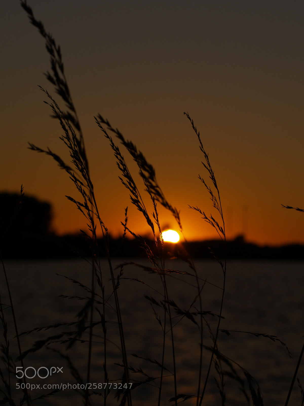 Olympus E-300 (EVOLT E-300) sample photo. Sonnenuntergang am meer photography