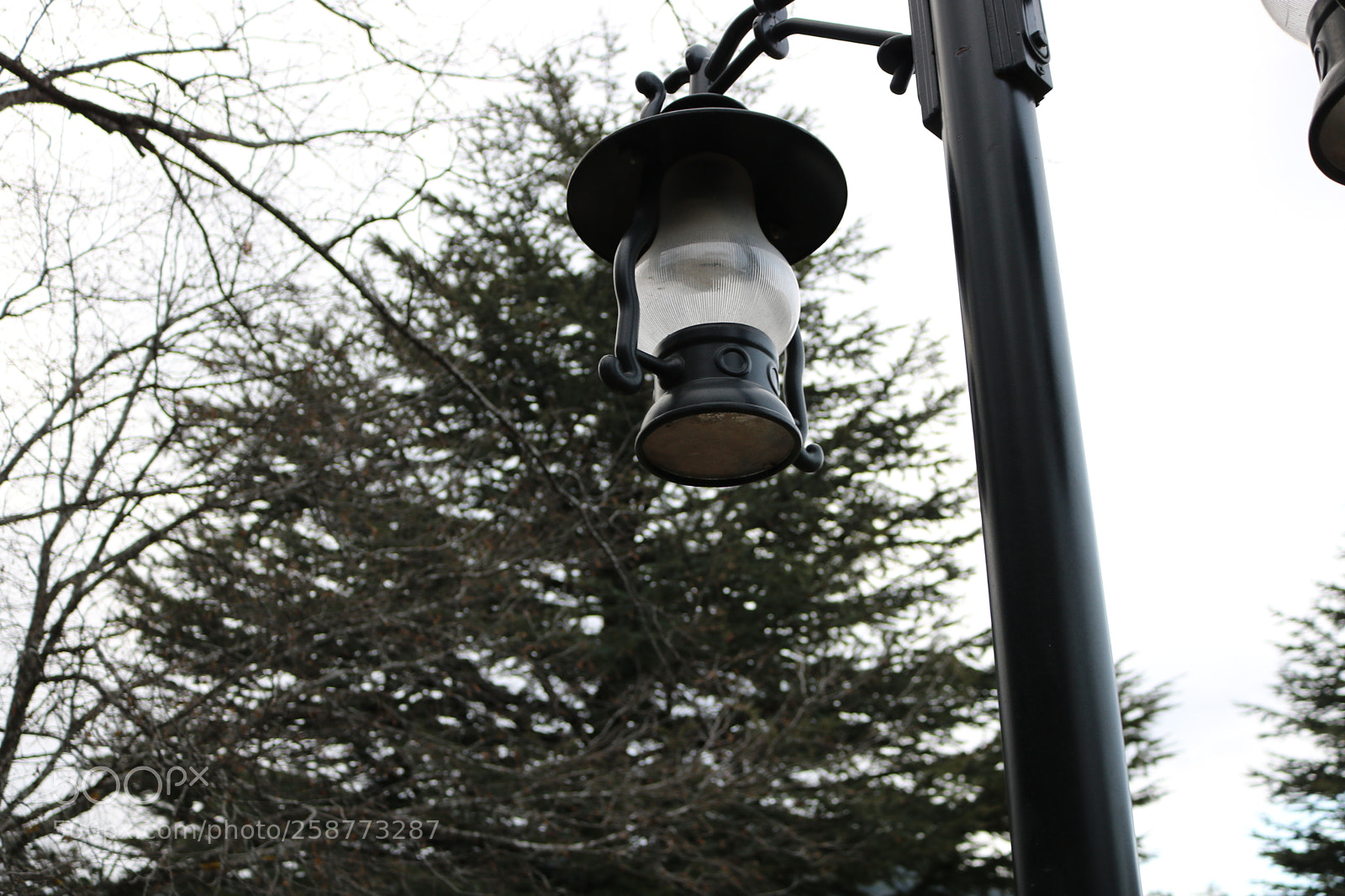 Canon EOS 750D (EOS Rebel T6i / EOS Kiss X8i) sample photo. Ex oriente lux photography