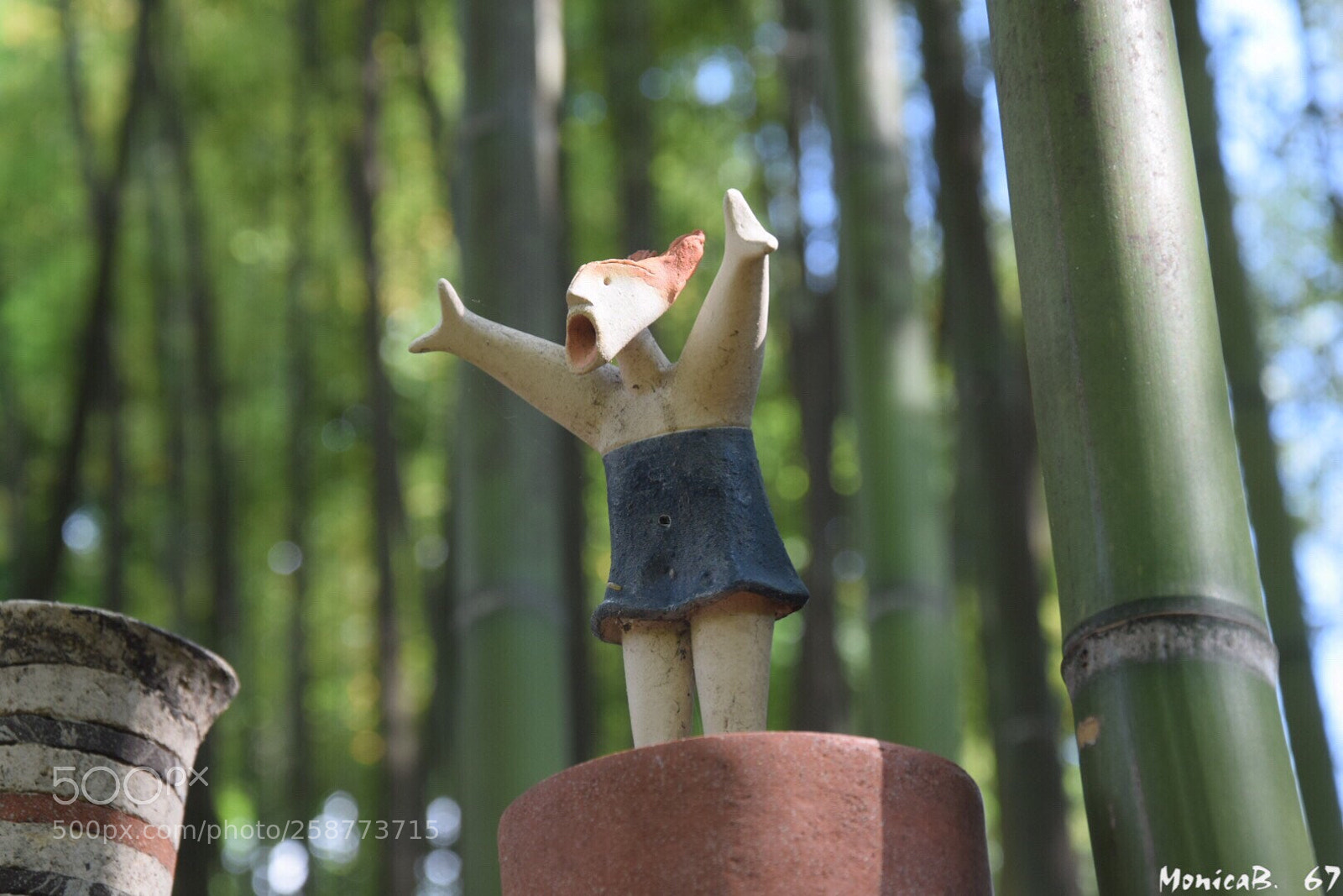 Nikon D5300 sample photo. Cantando a squarciagola  photography