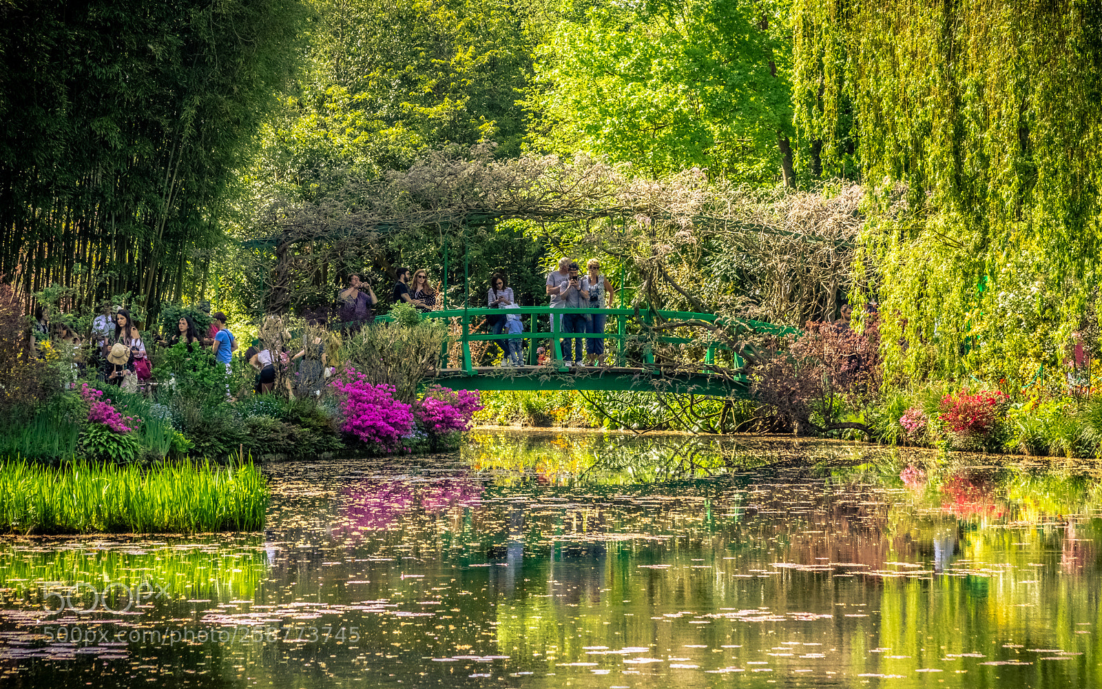 Canon EOS 80D sample photo. Giverny - les jardins photography