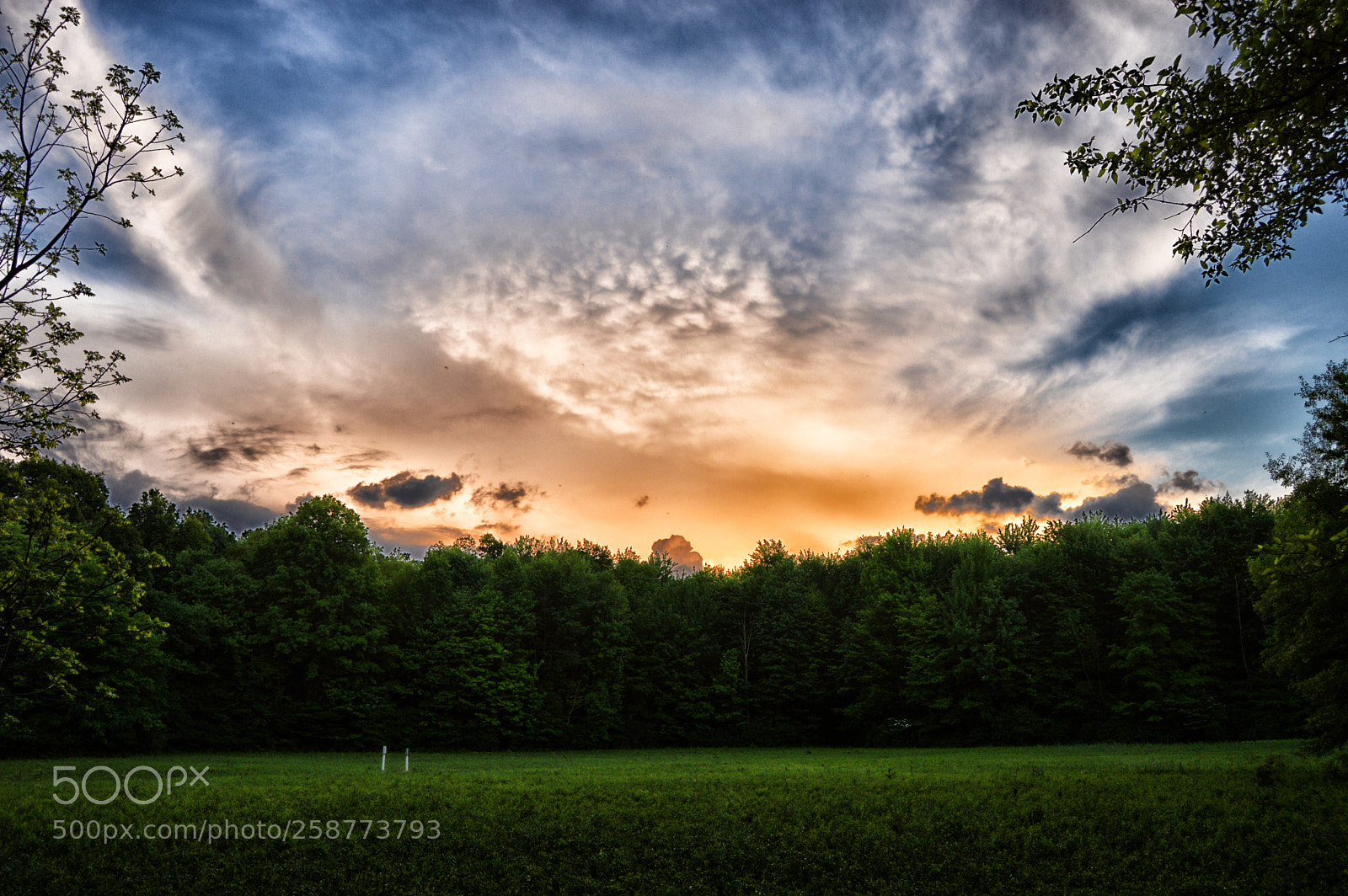 Nikon D3200 sample photo. Cloud rising photography