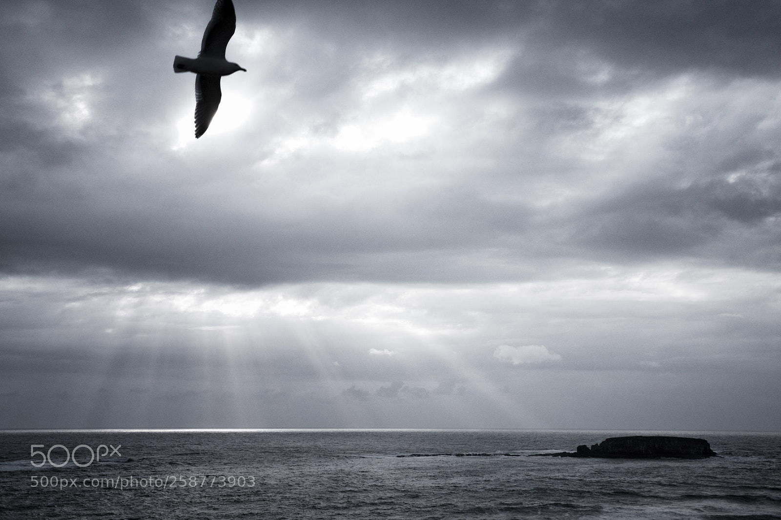 Canon EOS 5D Mark IV sample photo. Oregon coast photography