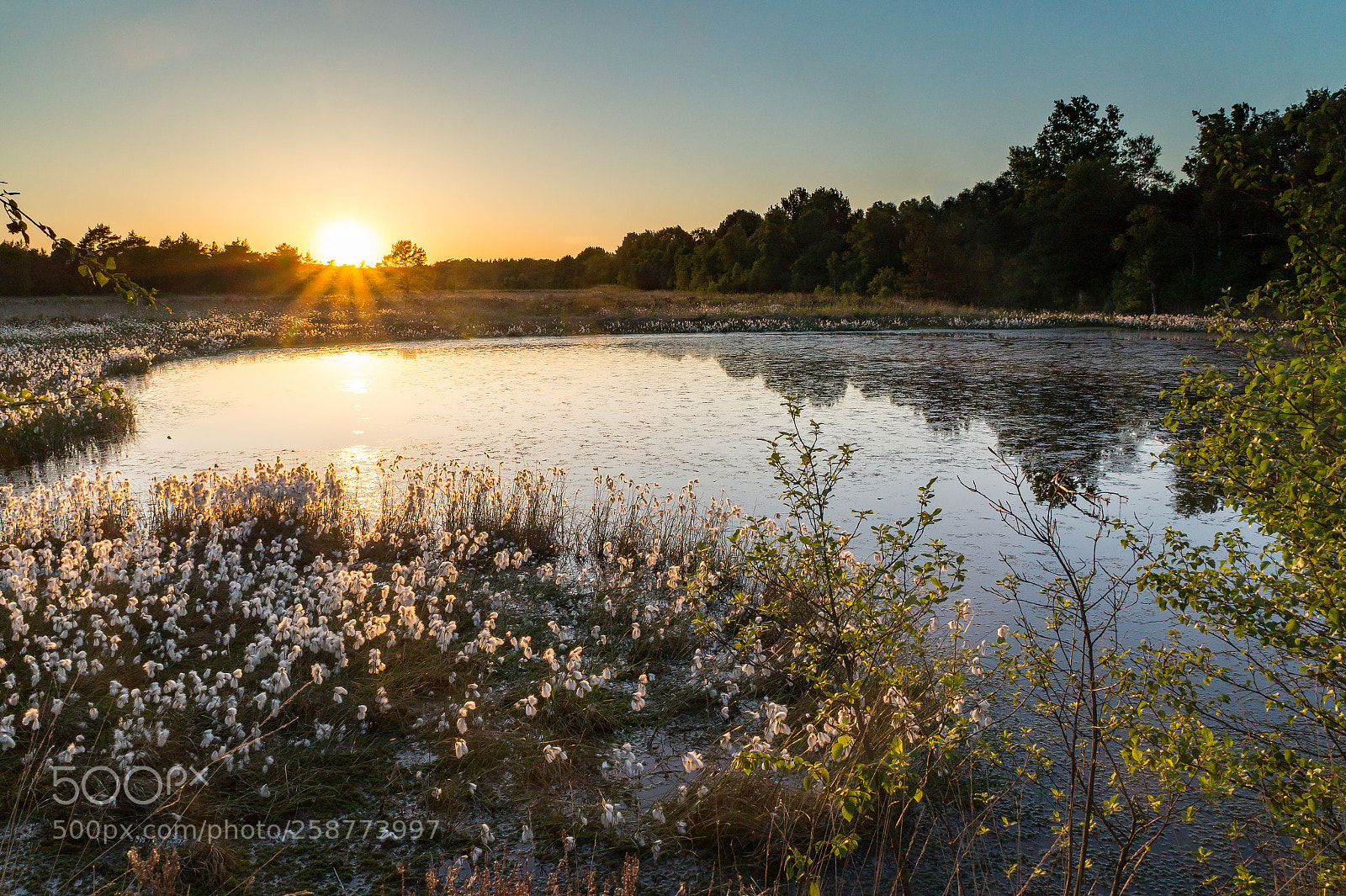 Sony SLT-A58 sample photo. Sonnenuntergang im hamberger moor photography