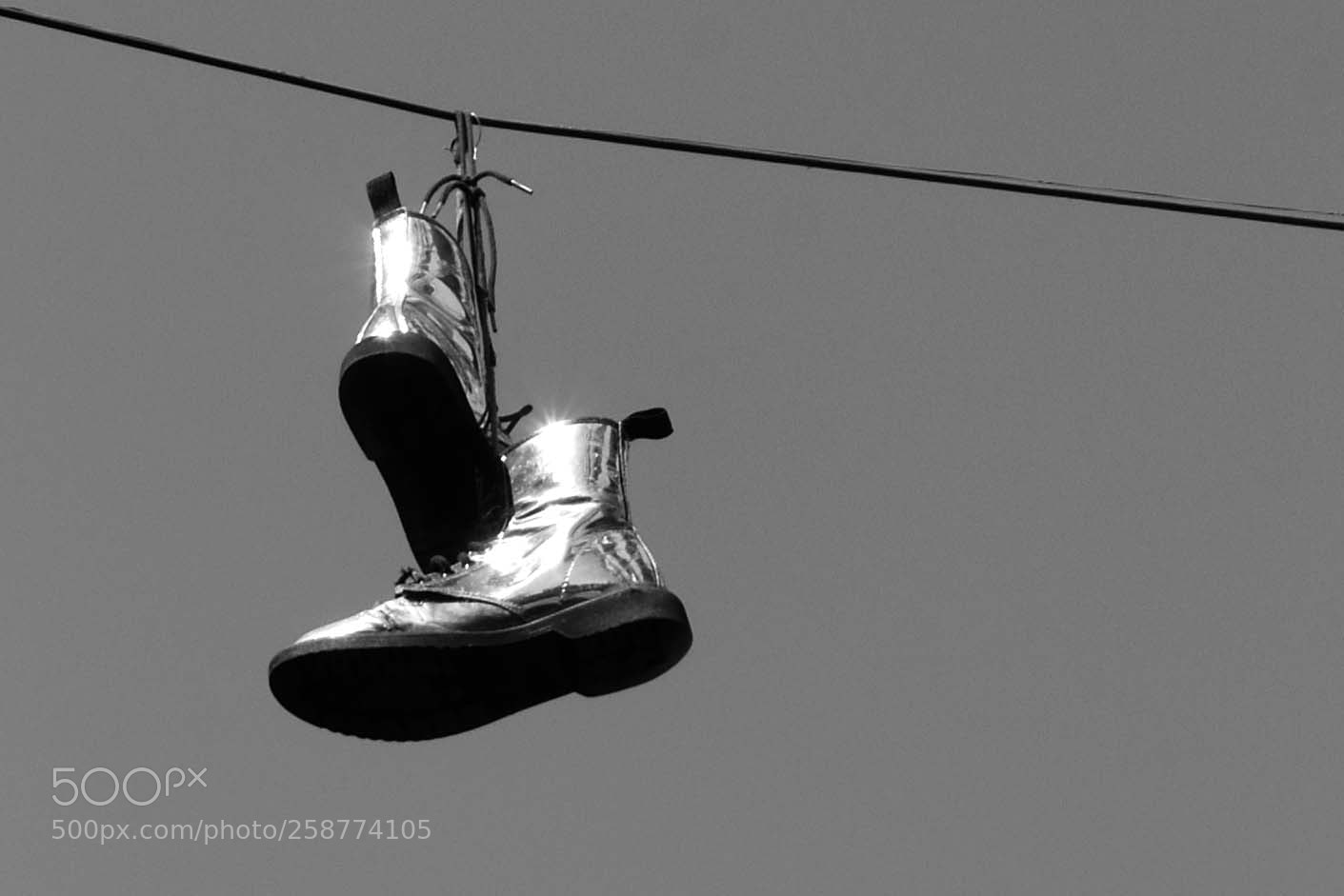Nikon D7200 sample photo. A shiny pair photography