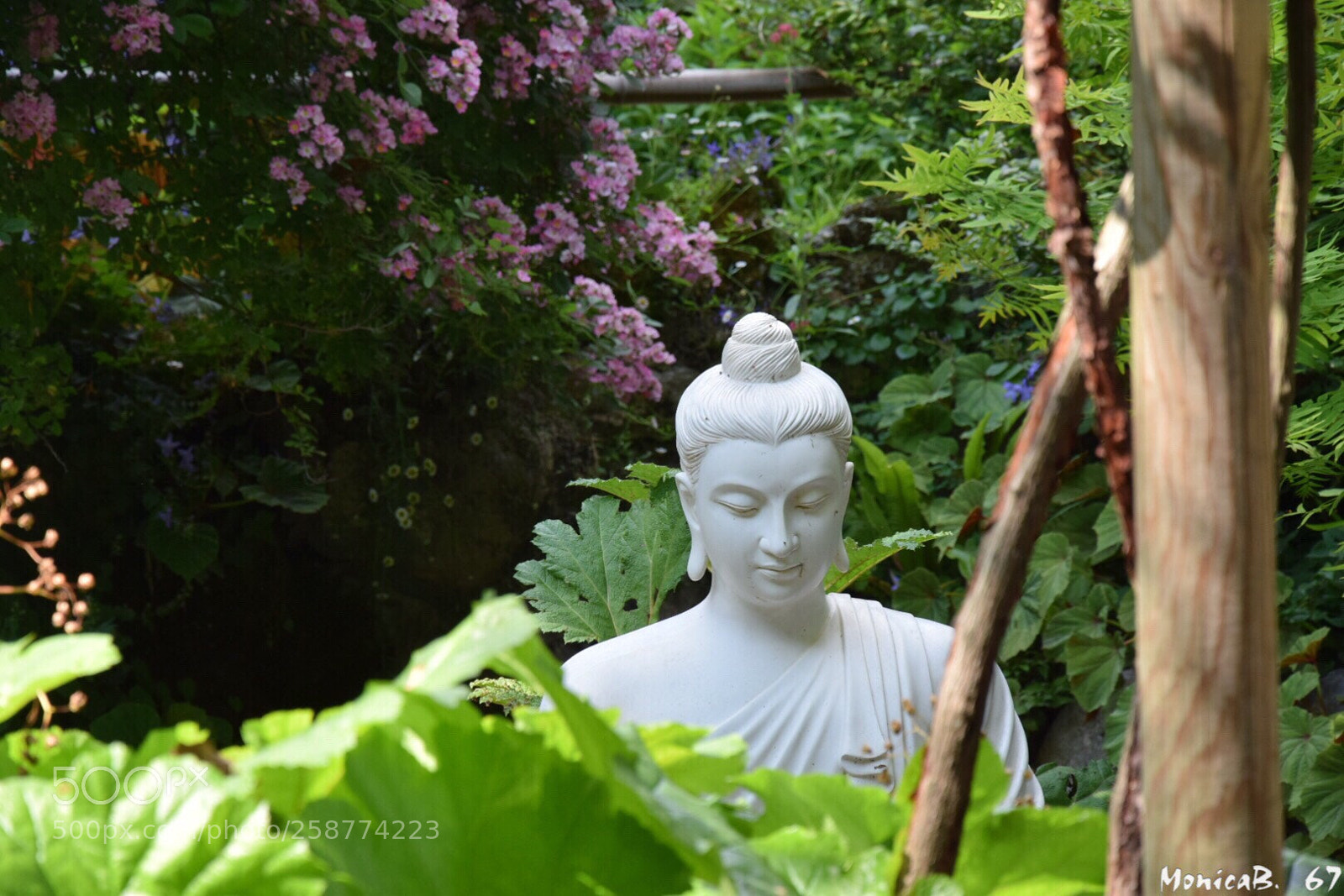 Nikon D5300 sample photo. Zen photography