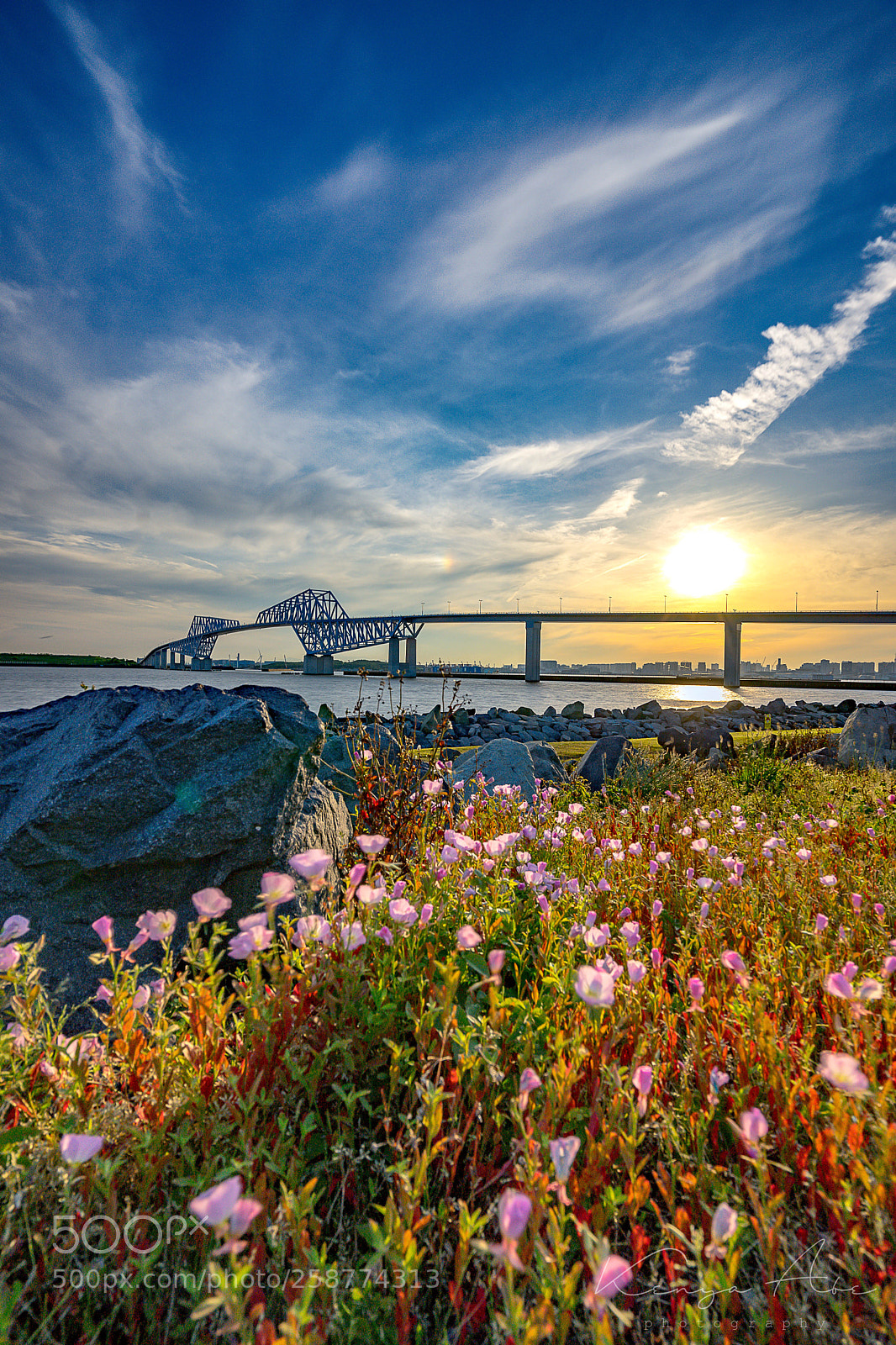 Sony a7 II sample photo. Sunset with gate bridge photography