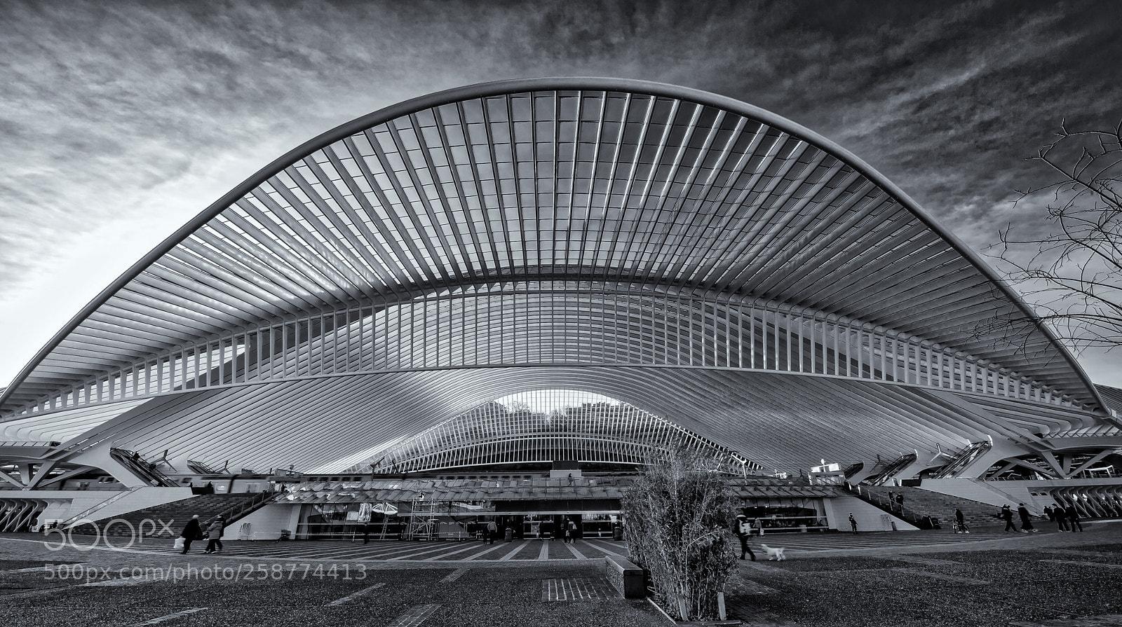Nikon D4S sample photo. Just before sunset guillemins photography