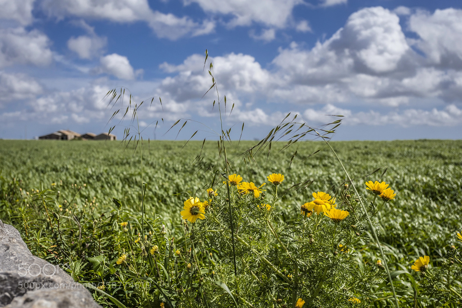 Canon EOS 6D sample photo. Campagna iblea photography