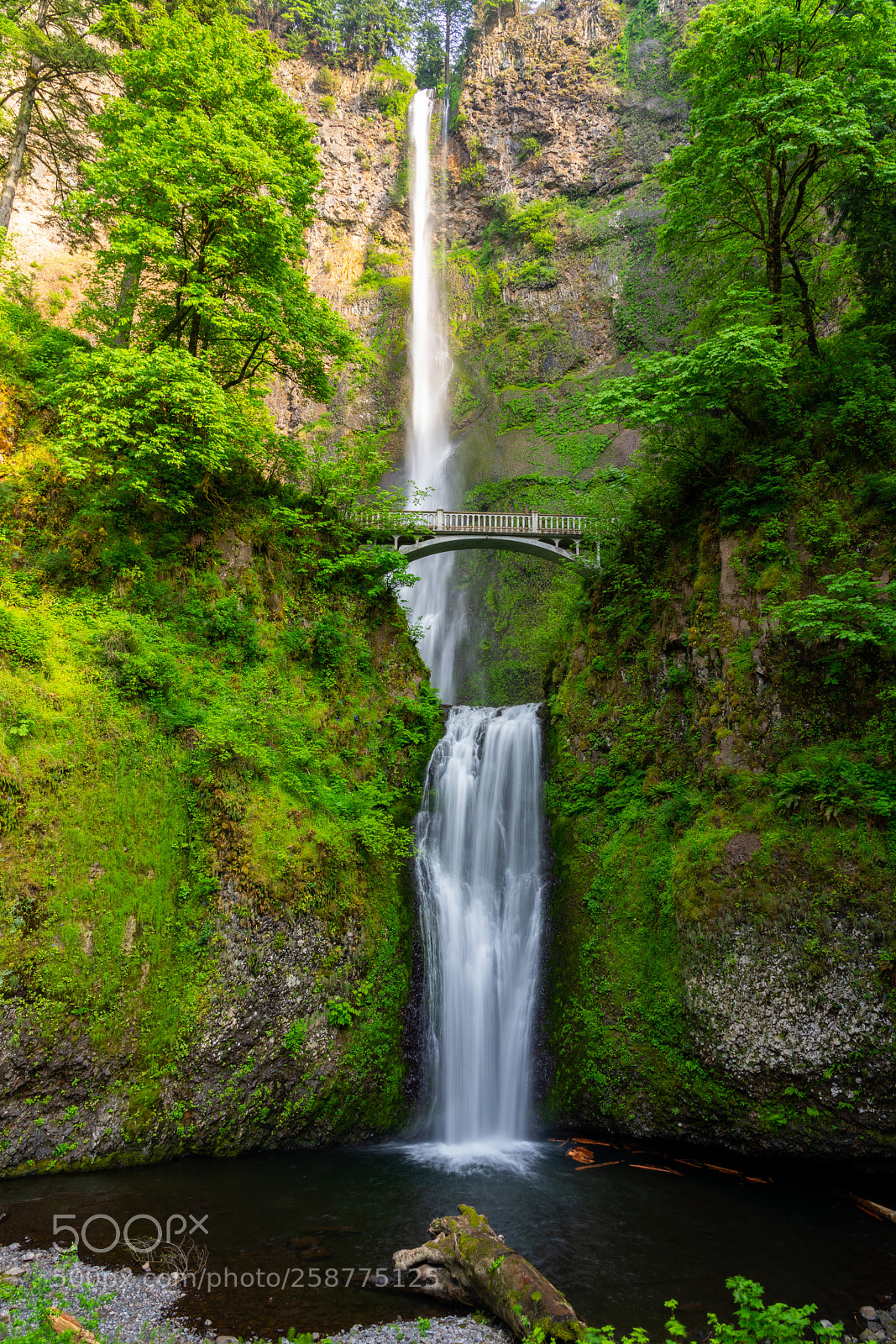 Sony a7R III sample photo. Multnomah falls photography