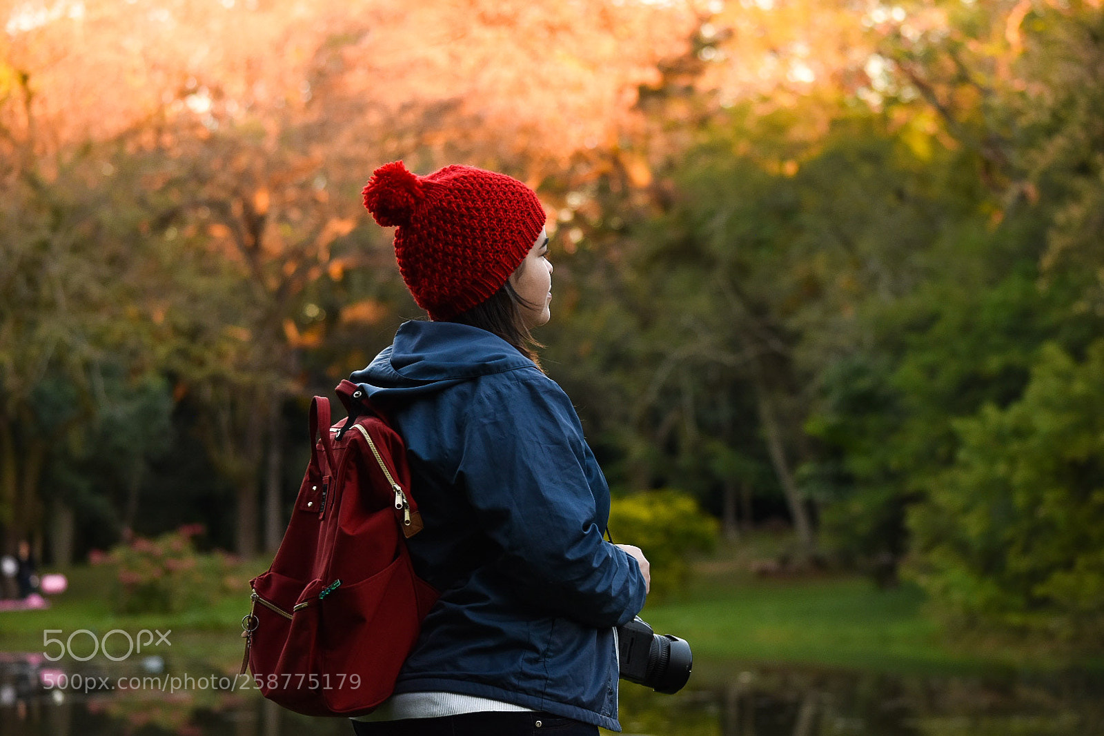 Nikon D5500 sample photo. Untitled photography