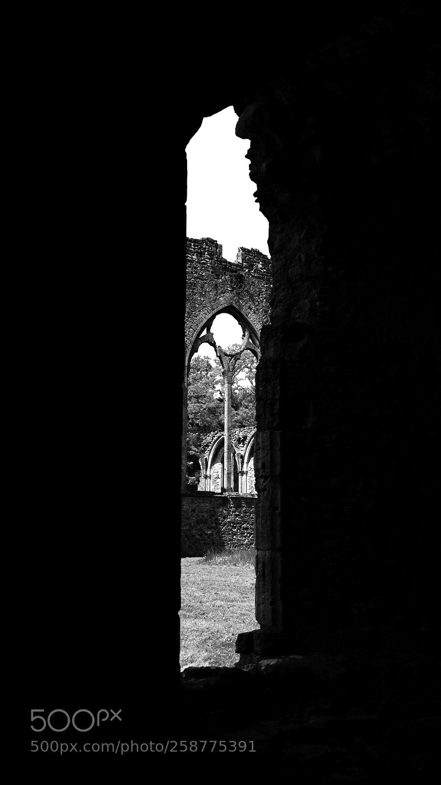 Fujifilm X-T20 sample photo. Netley abbey photography