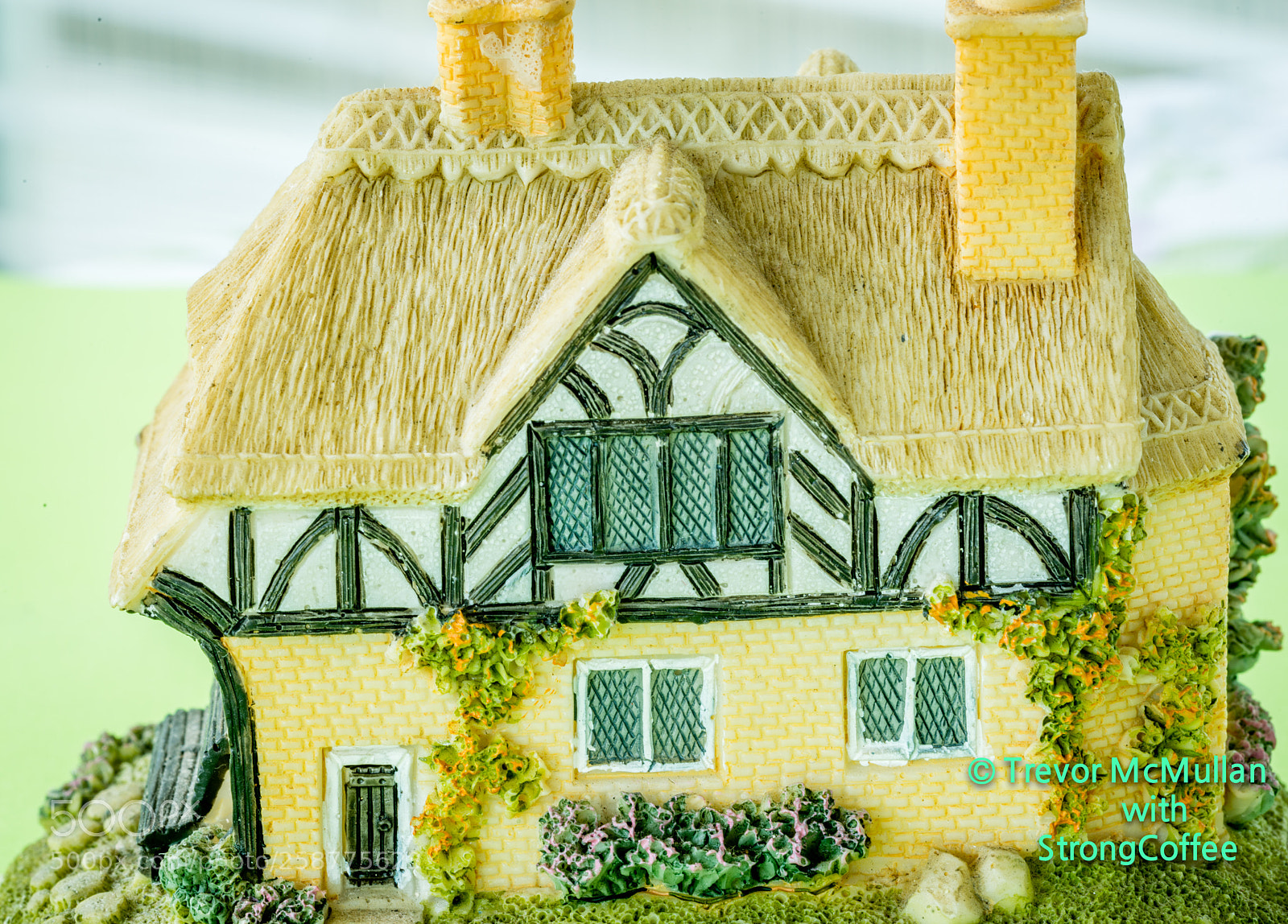 Nikon D800 sample photo. English cottage photography