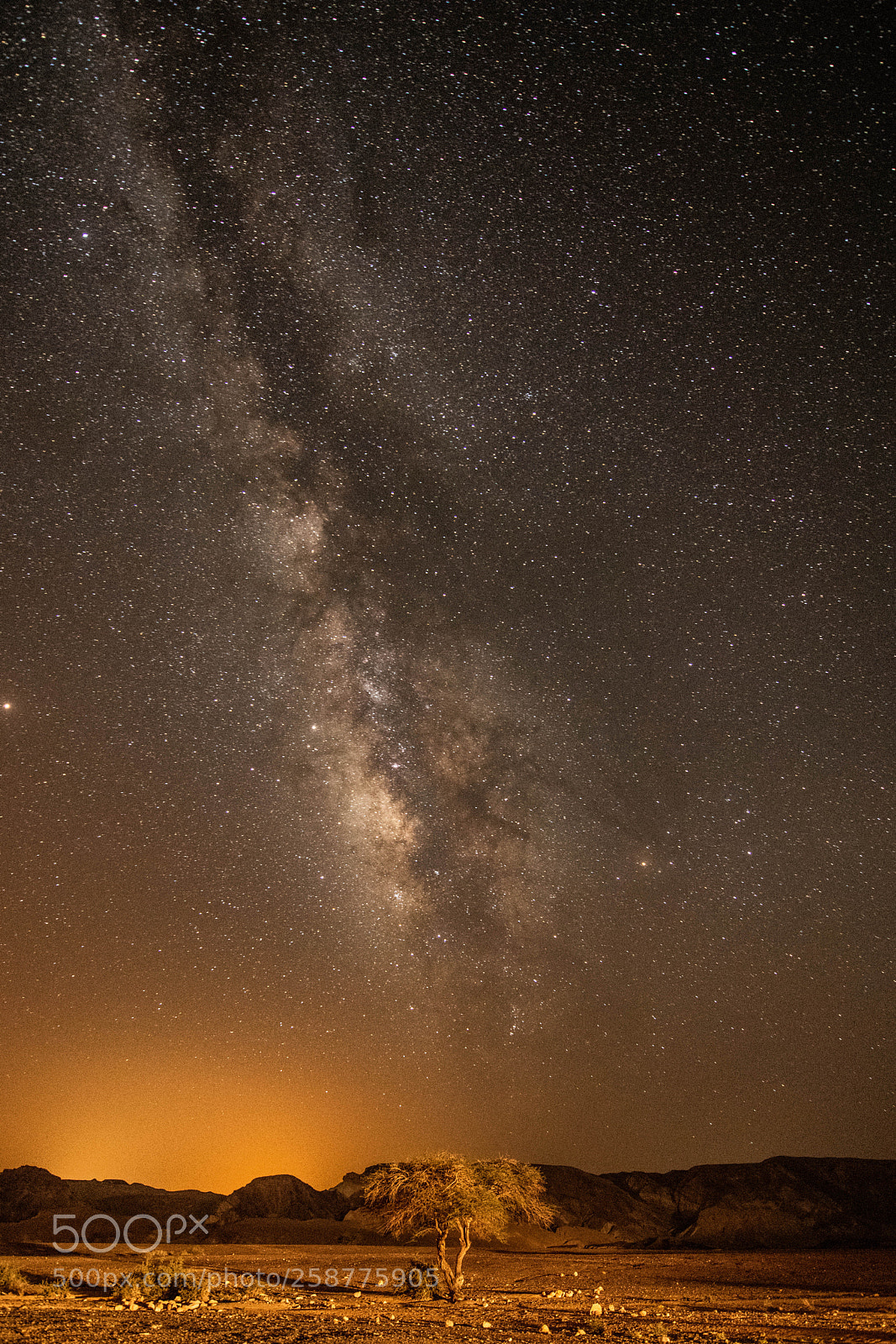Nikon D850 sample photo. Milky way to a photography