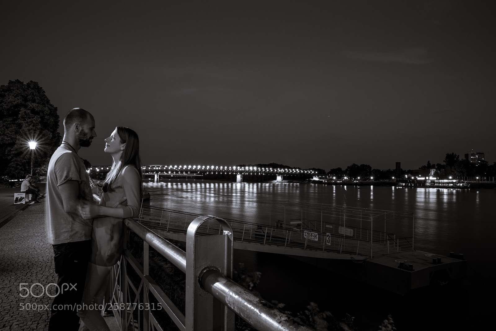 Nikon D750 sample photo. Romance at river danube photography