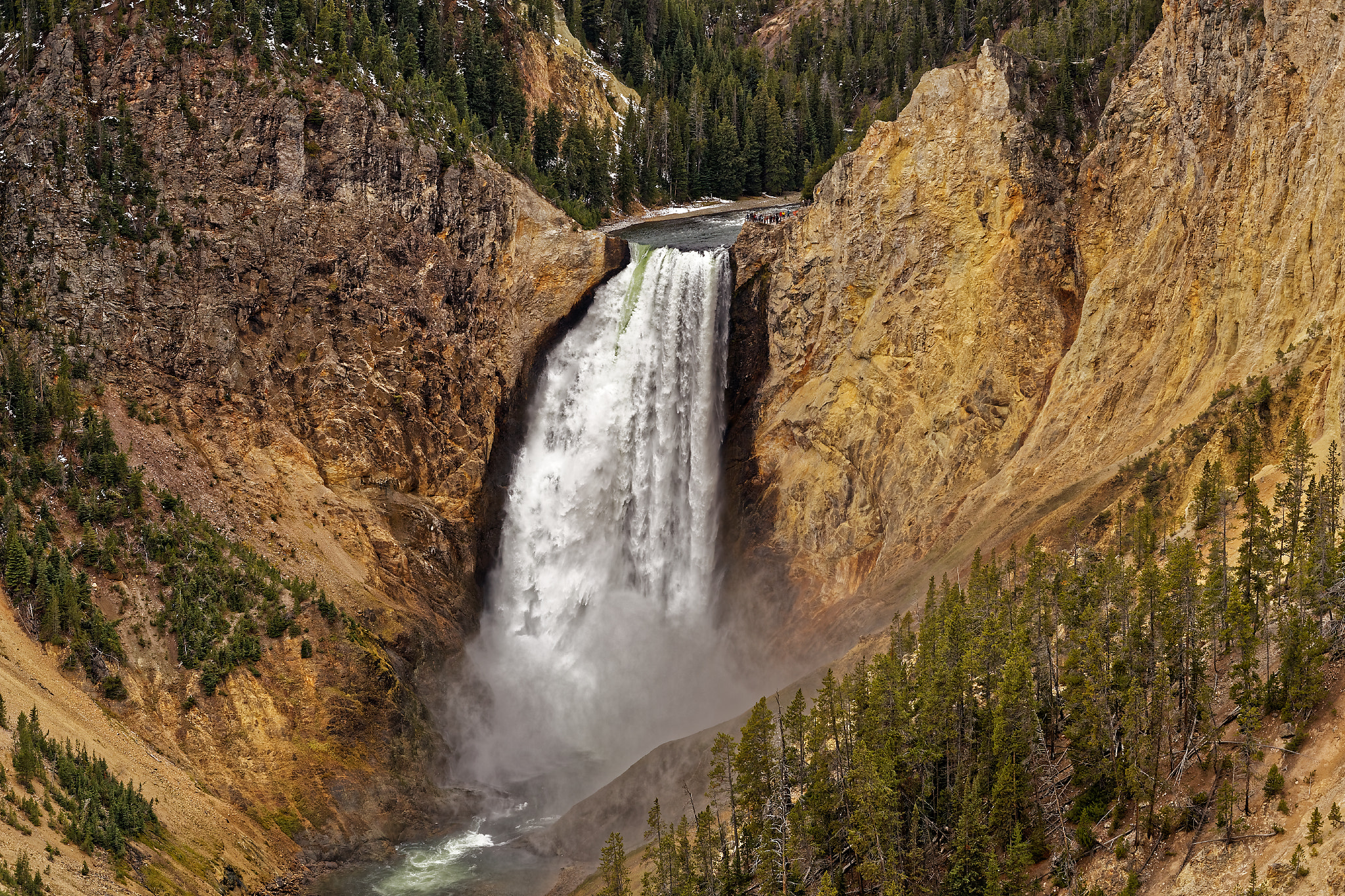 Zeiss Milvus 85mm f/1.4 sample photo. Yellowstone national park photography