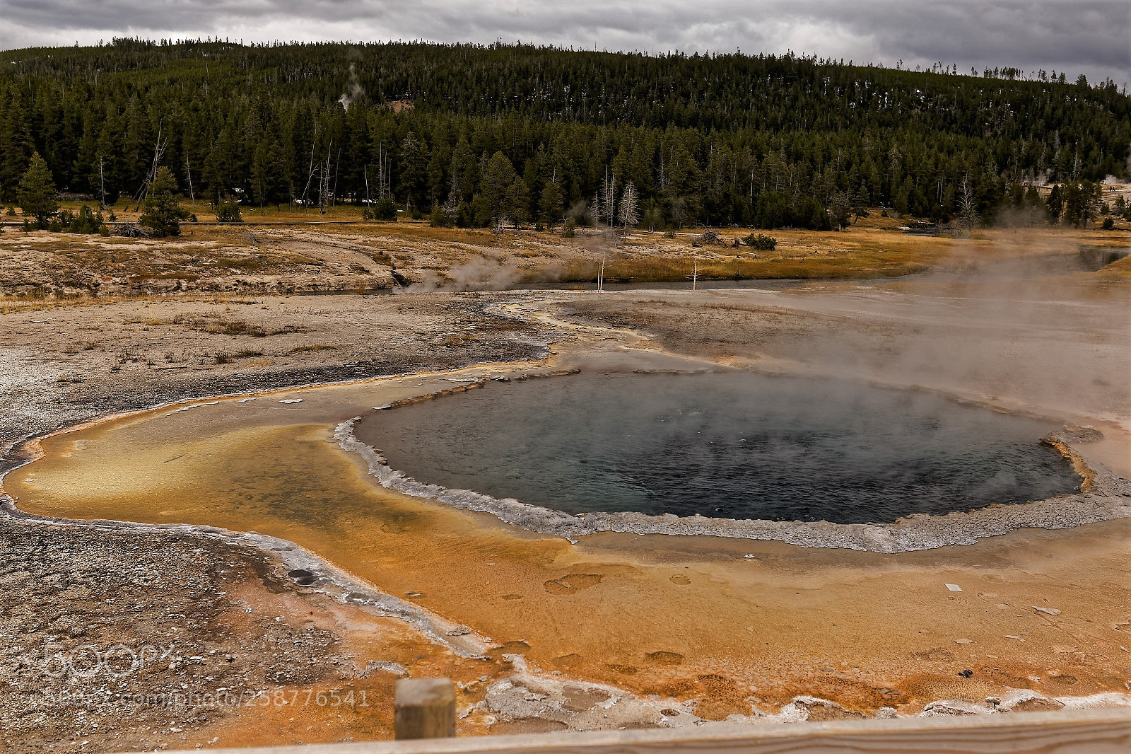 Canon EOS 6D sample photo. Yellowstone national park photography
