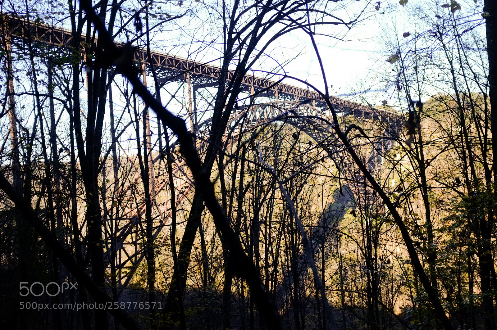 Fujifilm FinePix X100 sample photo. Familiar bridge photography