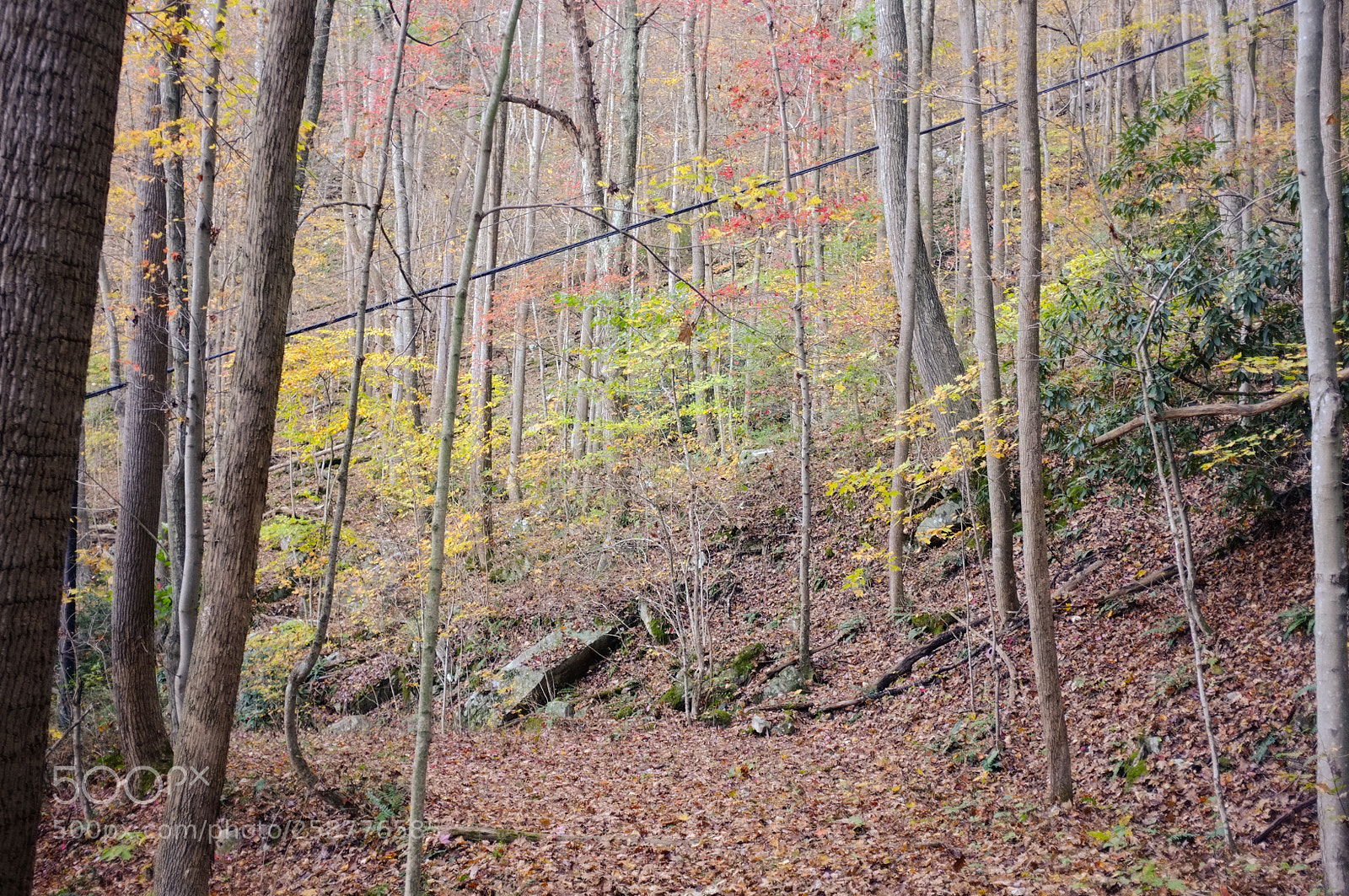 Fujifilm FinePix X100 sample photo. Large zip line photography