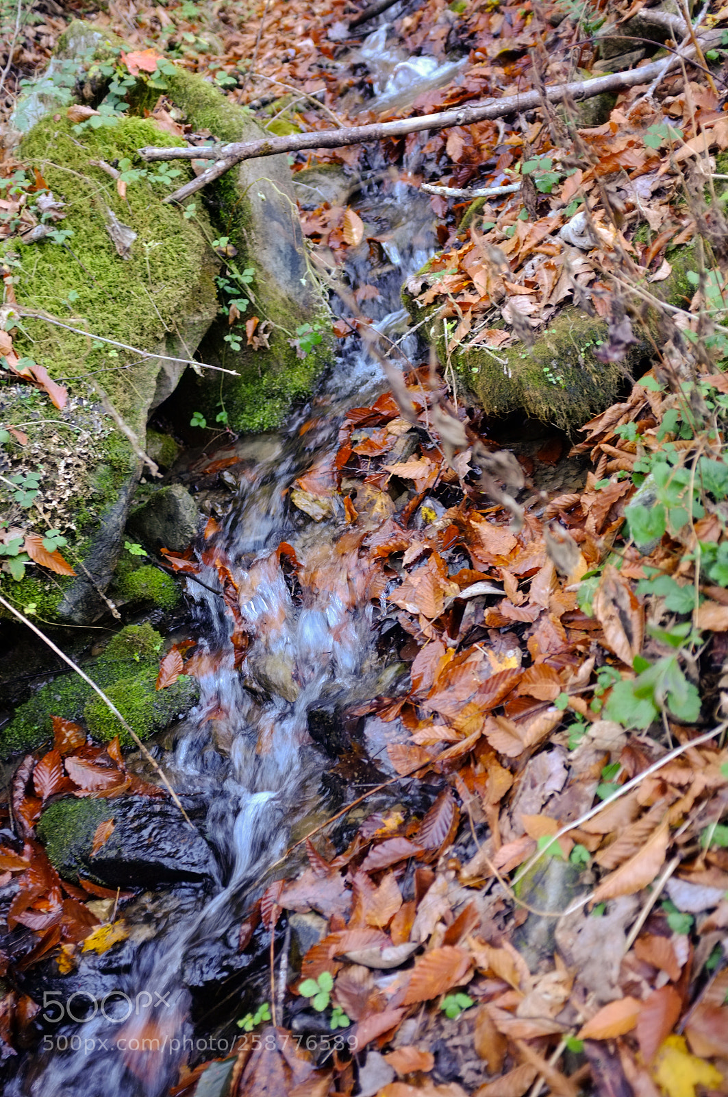Fujifilm FinePix X100 sample photo. A little stream photography