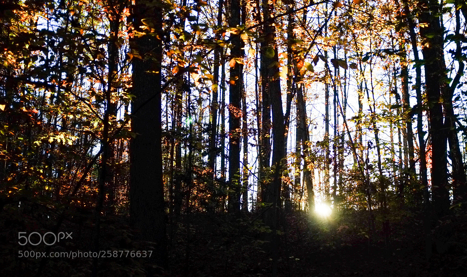Fujifilm FinePix X100 sample photo. Sun leaving photography