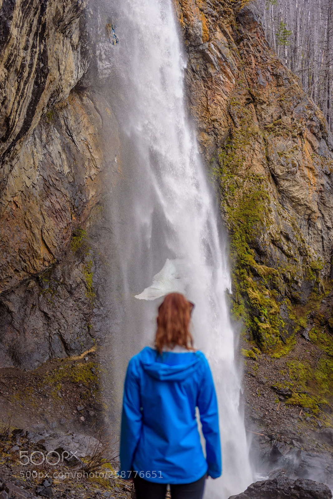 Nikon D750 sample photo. Staring into the falls photography