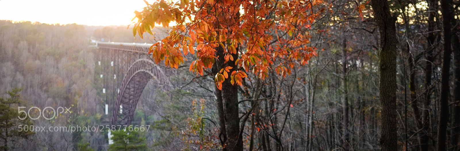 Fujifilm FinePix X100 sample photo. New river gorge bridge photography