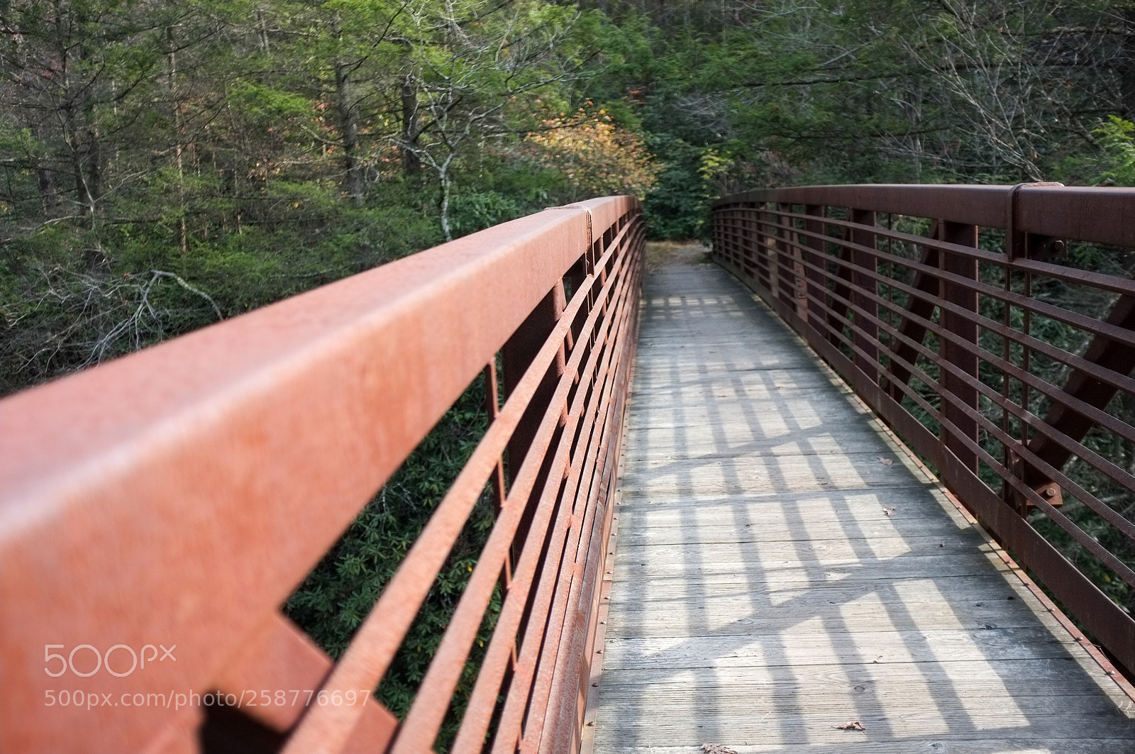 Fujifilm FinePix X100 sample photo. Another small bridge photography