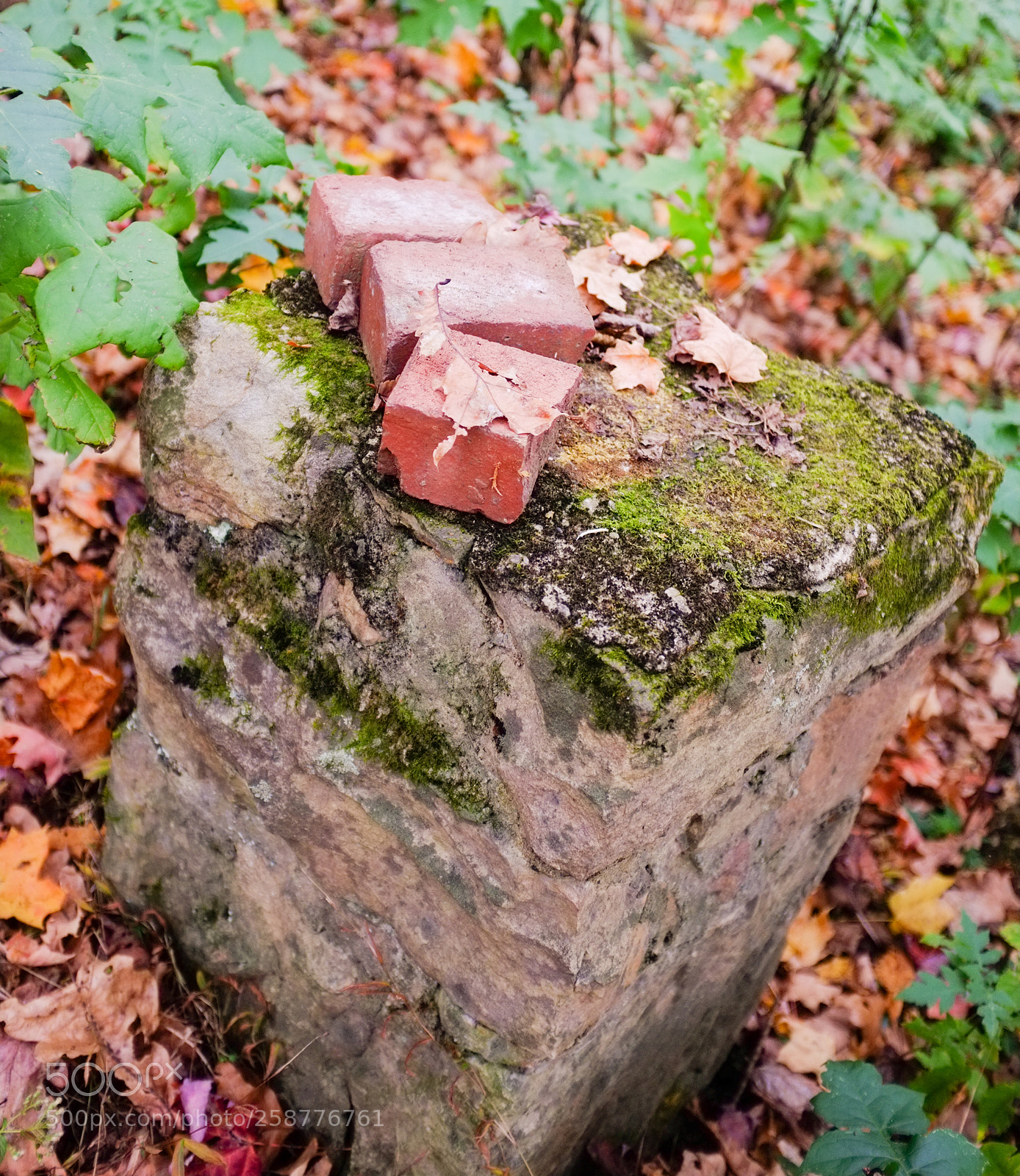 Fujifilm FinePix X100 sample photo. Old bricks are better photography