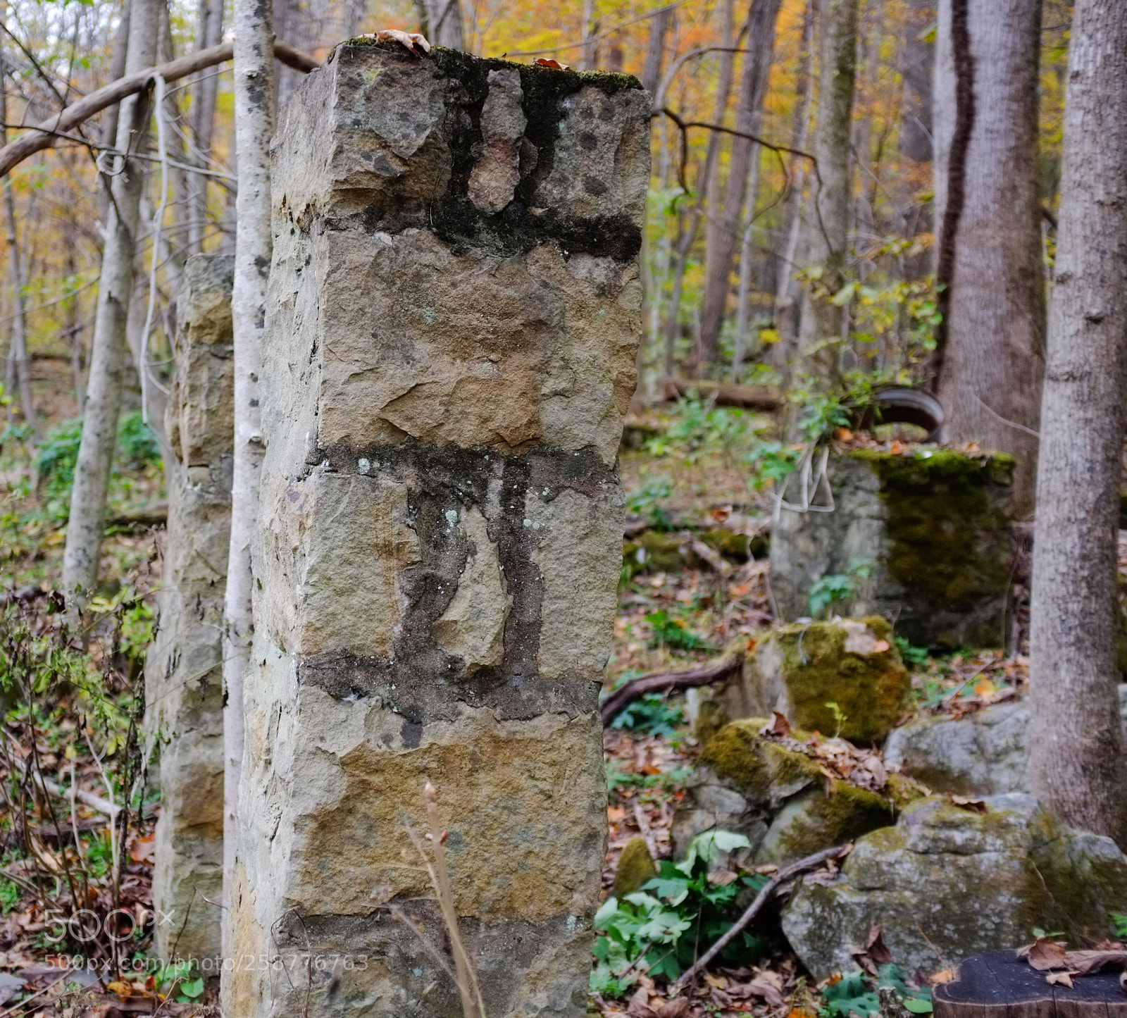 Fujifilm FinePix X100 sample photo. Signs on column photography