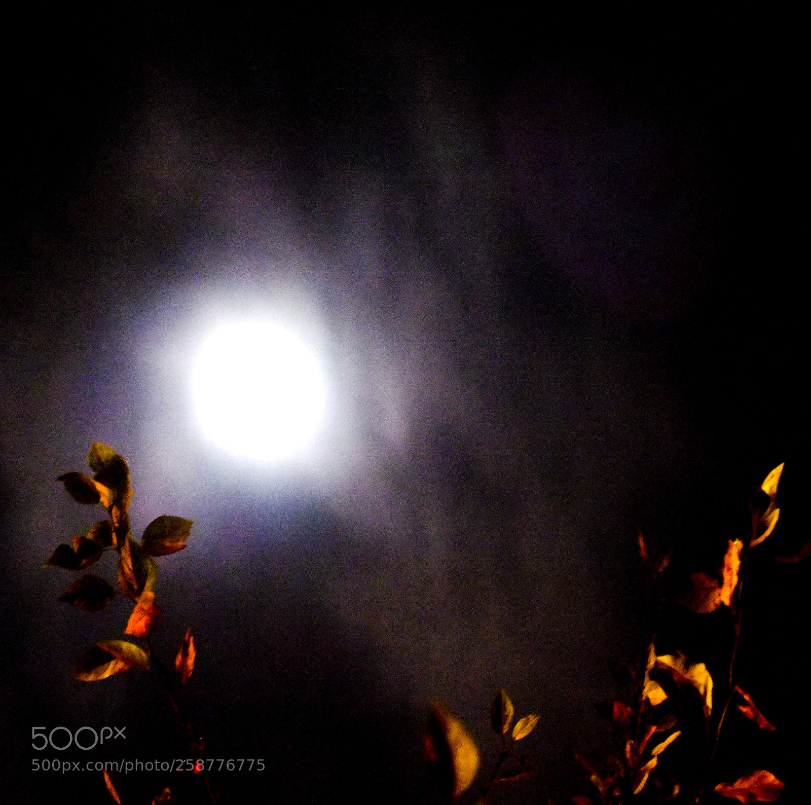 Fujifilm FinePix X100 sample photo. Supermoon in chicago photography
