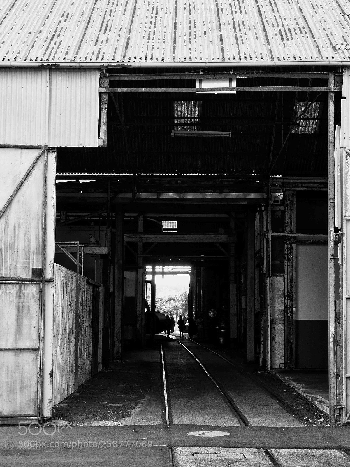 Olympus OM-D E-M10 II sample photo. Cockatoo island, near sydney photography